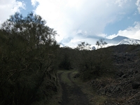 anobello-04032012 200